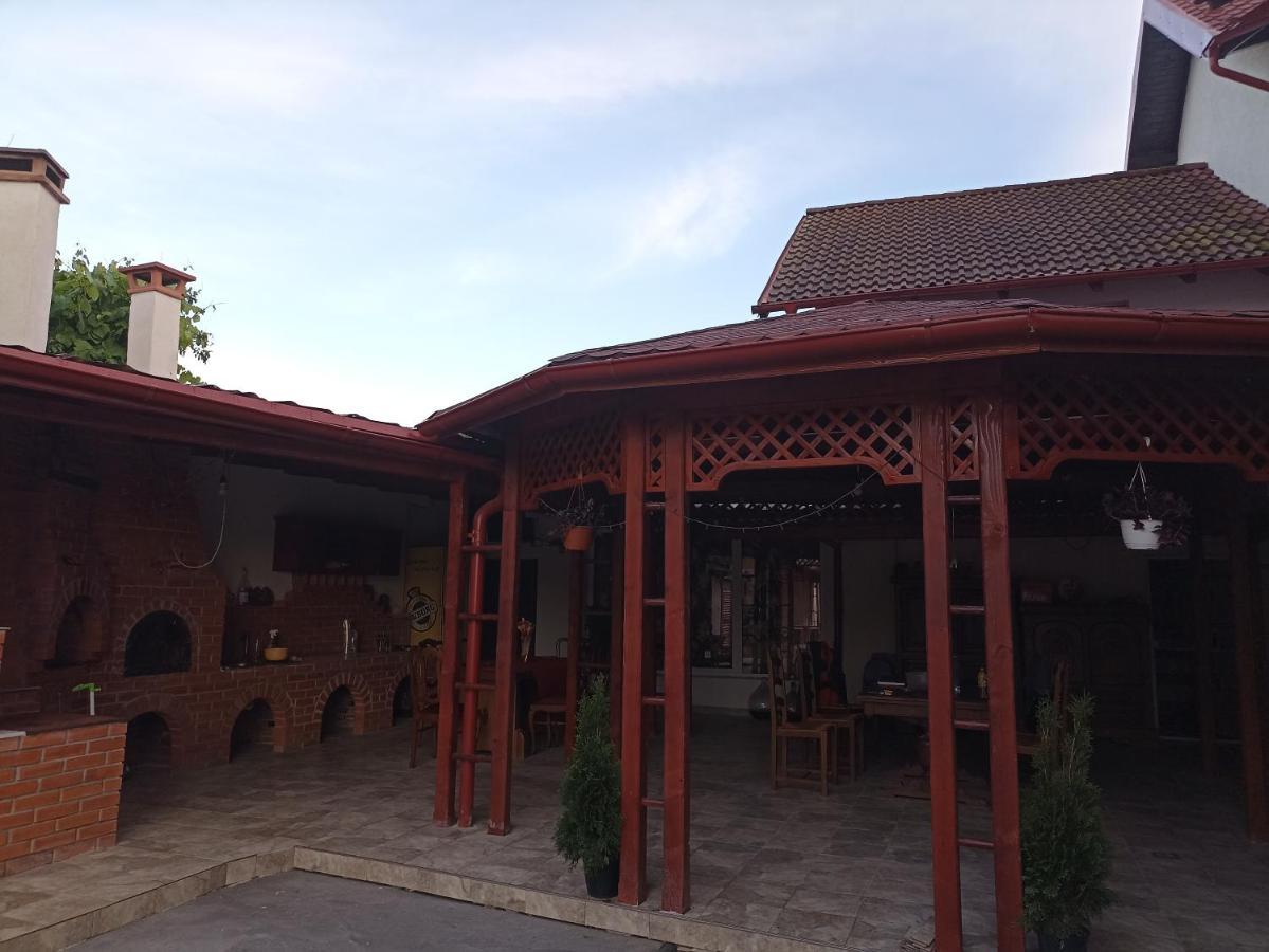 La Zinculescu Hotel Albestii Paminteni Exterior photo