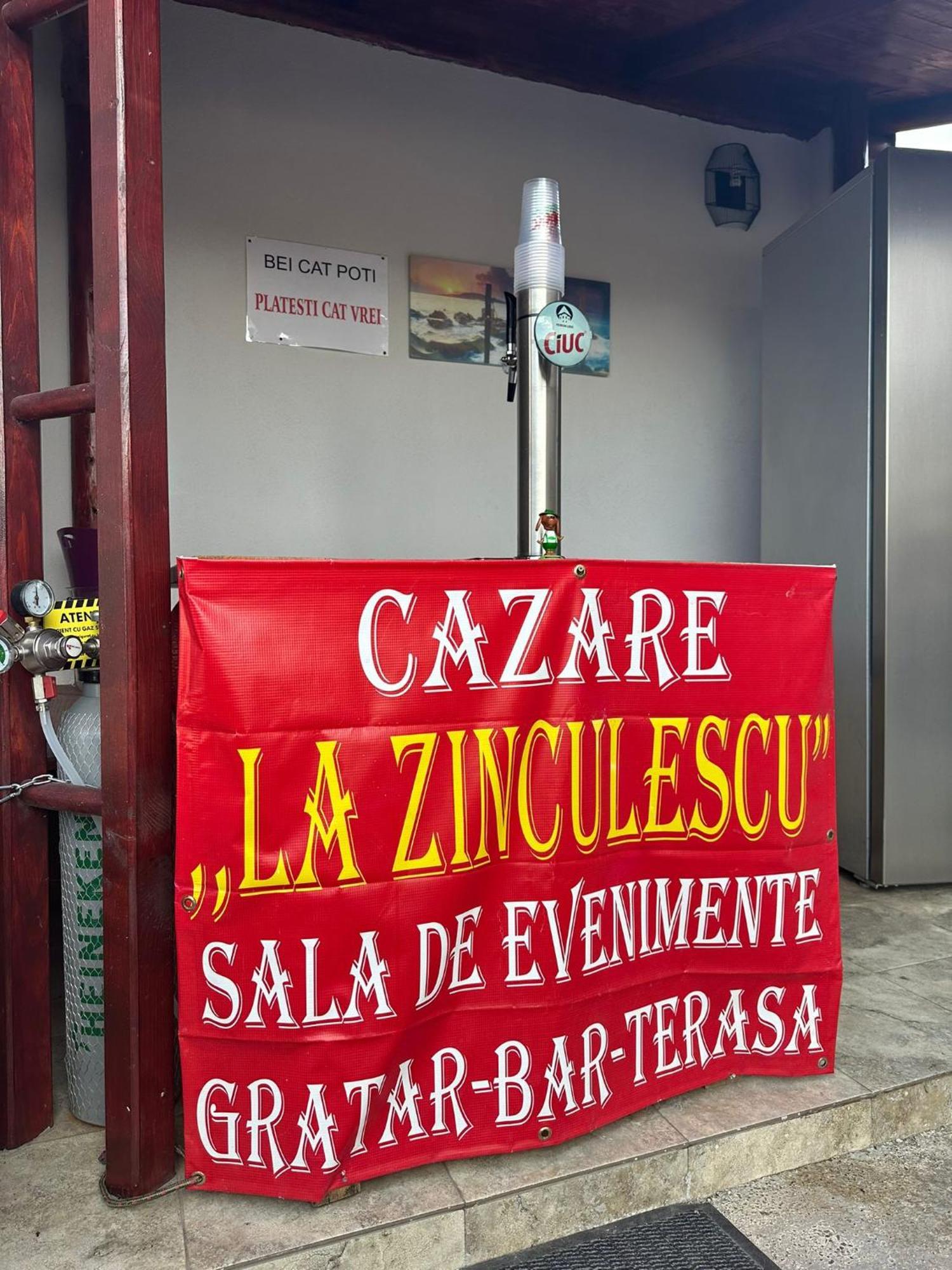 La Zinculescu Hotel Albestii Paminteni Exterior photo